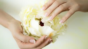 Mooie Witte Bloem In Handen Die Open Gaat