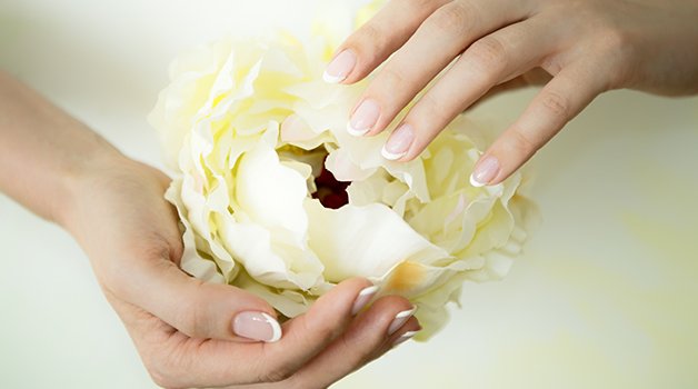 Mooie Witte Bloem In Handen Die Open Gaat