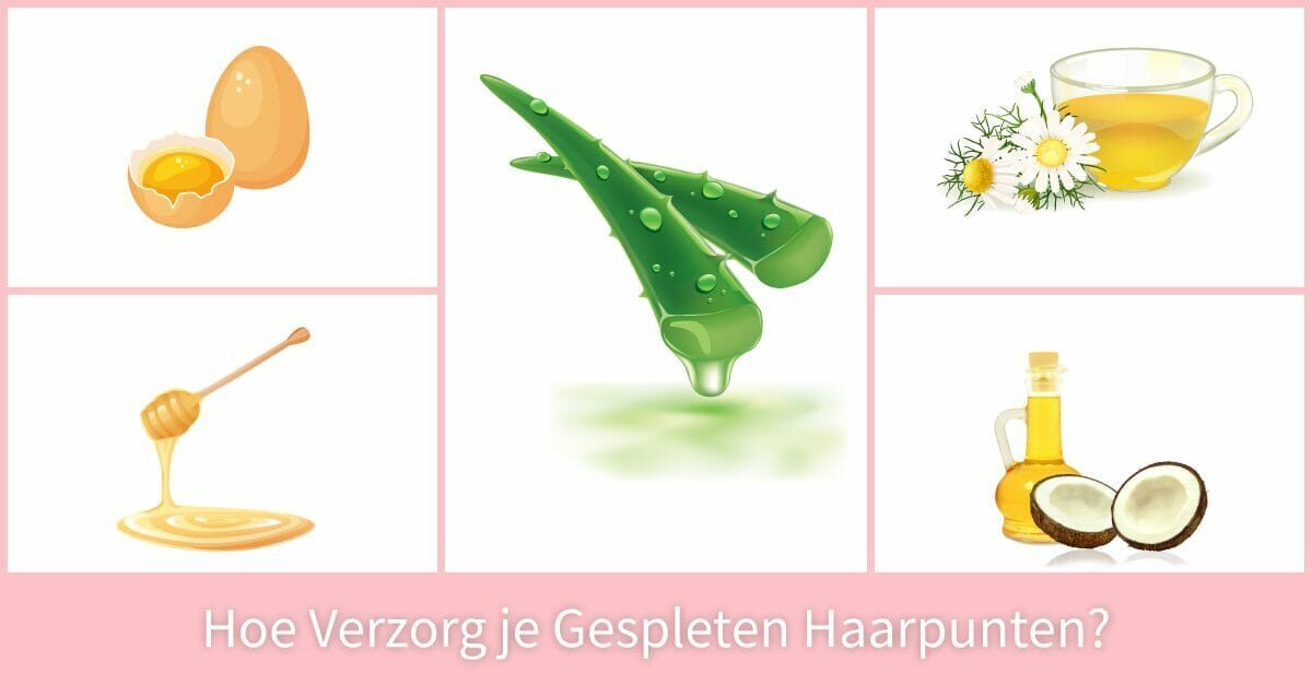 Aloe vera kokosolie kamillethee honing eieren.