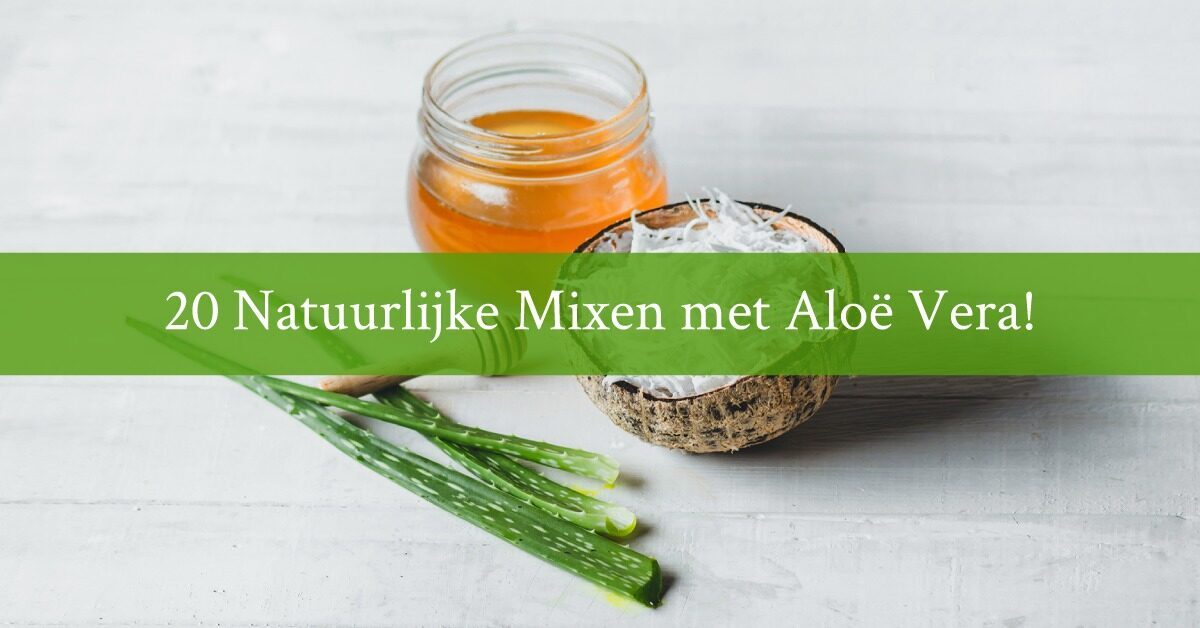 Aloe vera kokosrasp honing