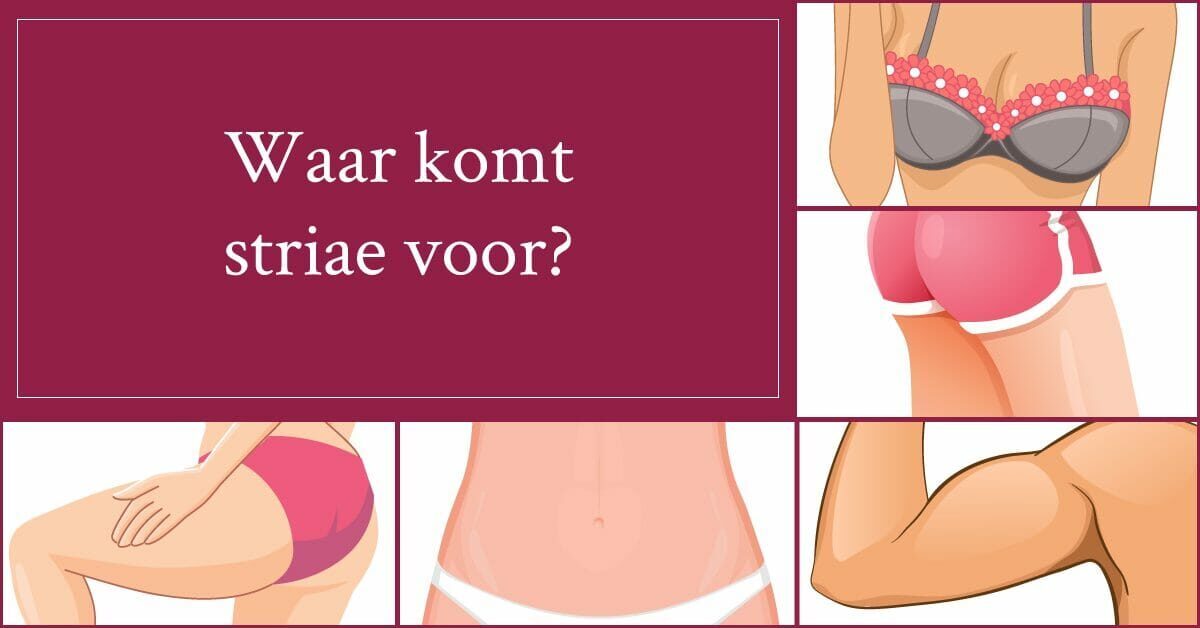 Armen buik billen benen borsten