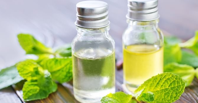 Belangrijke Feiten Over Arganolie, Leer Ze Nu!