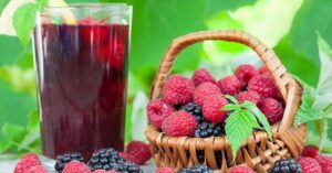 Werking van AntiOxidanten