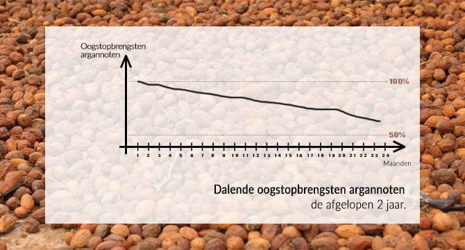 Grafiek Argannoten Oogst