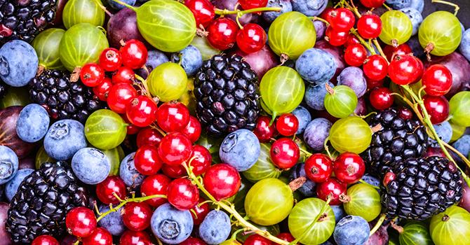 Ingrediënten Waar je op Moet Letten in Anti-Aging Producten