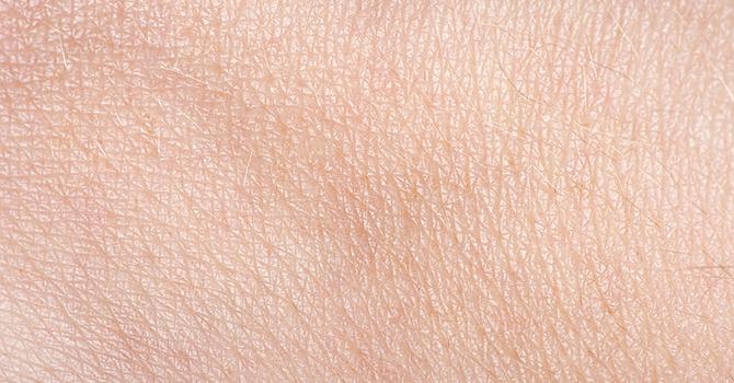 Leer de Huid Beter Kennen (de Opperhuid Editie)