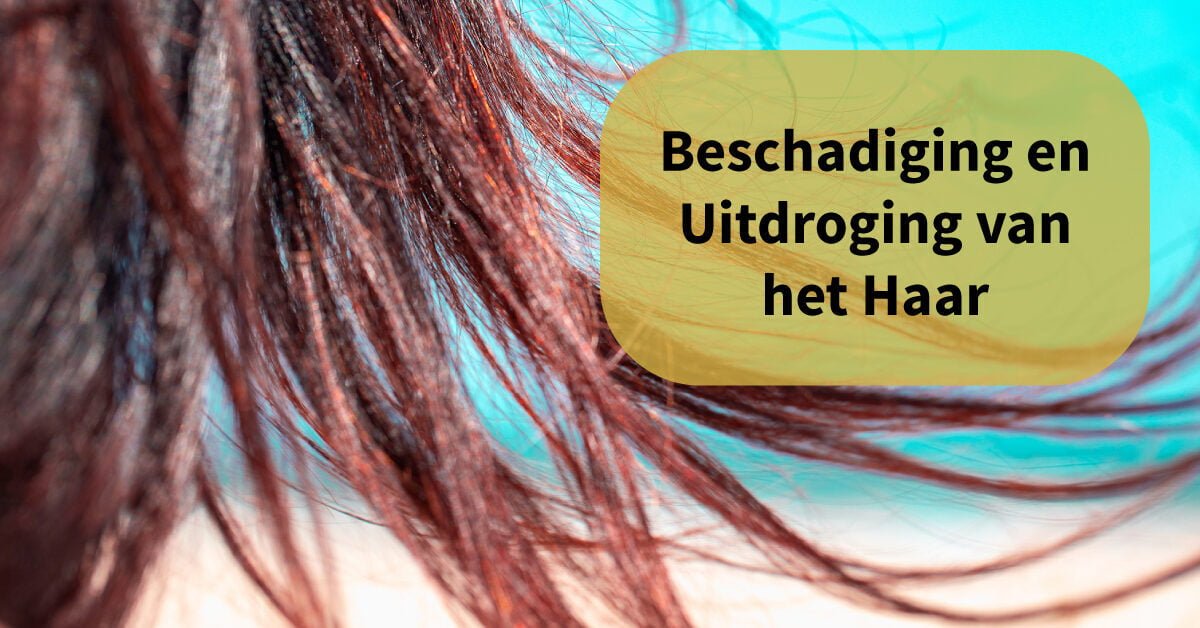 Haar strand wind