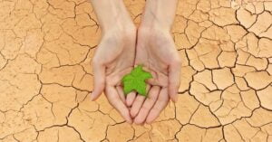 Slimme Manieren Om Droge Handen te Voorkomen