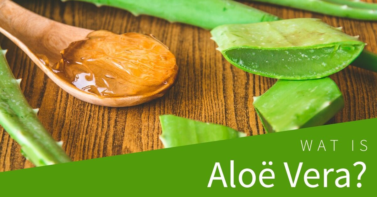 Wat is Aloe Vera