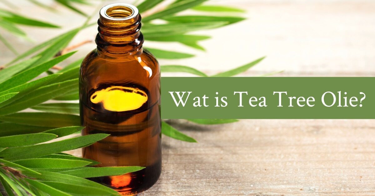 Wat is Tea Tree Olie