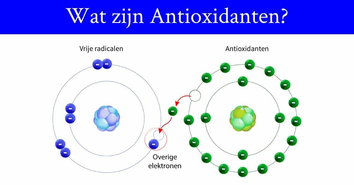 Wat zijn Antioxidanten