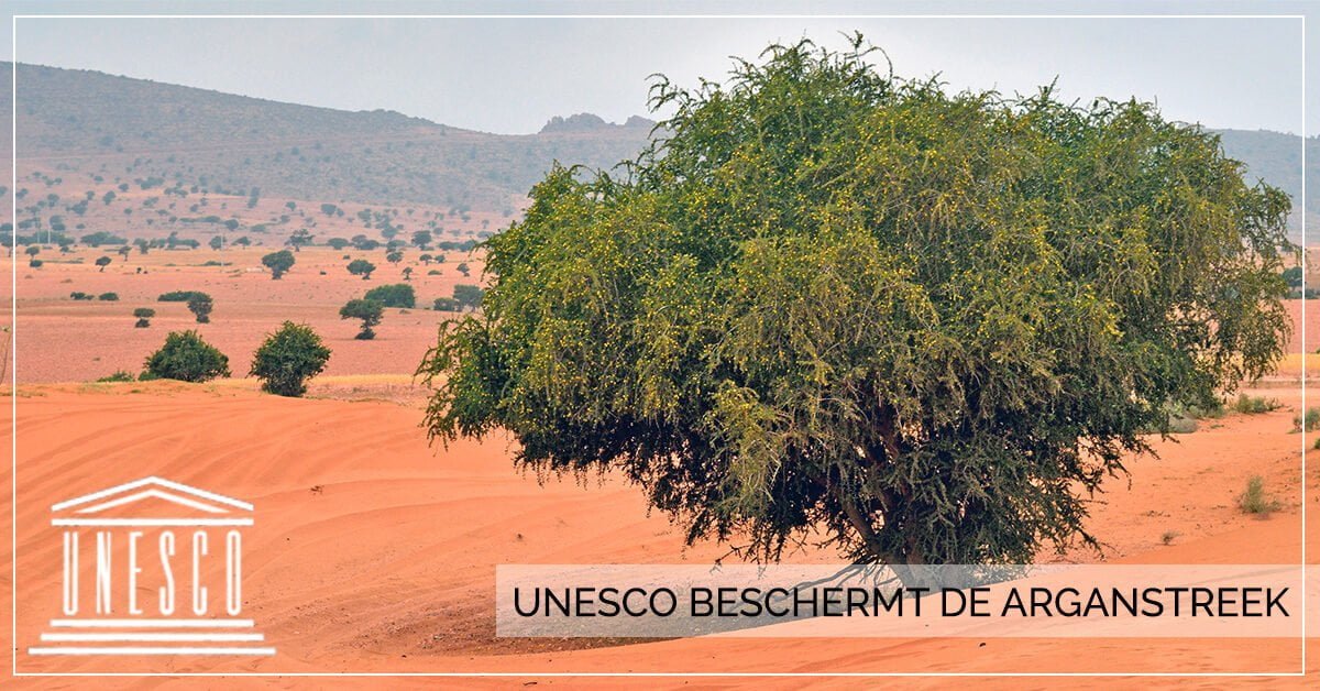 arganboom unesco