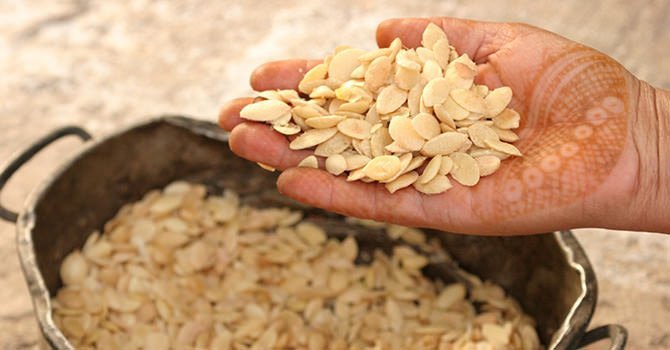 Alleen De Beste Argan Pitten