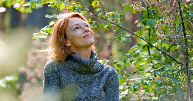 Genietten En Stralen In De Bossen