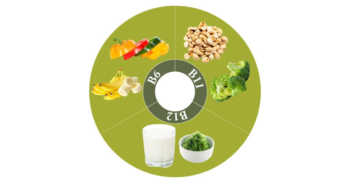 vitamine overzicht B6 B12 B11